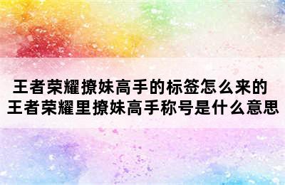 王者荣耀撩妹高手的标签怎么来的 王者荣耀里撩妹高手称号是什么意思